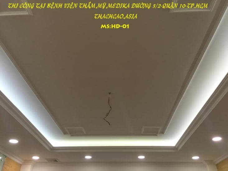 MAU TRAN HIEN DAI HD01